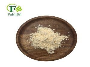 Flutamide Powder.jpg