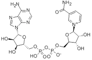 53-84-9 -NAD 53-84-9 -NAD